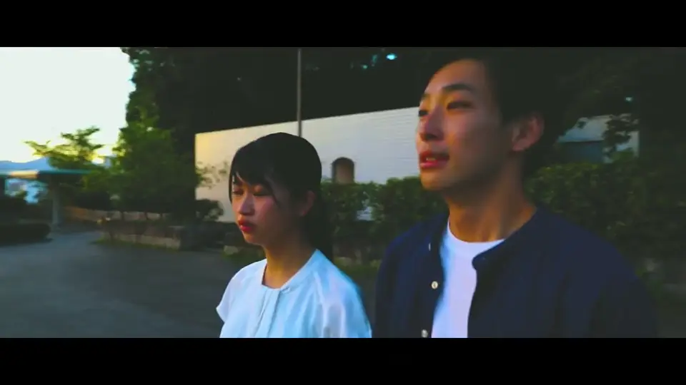 映像（Film & Motion）の制作例